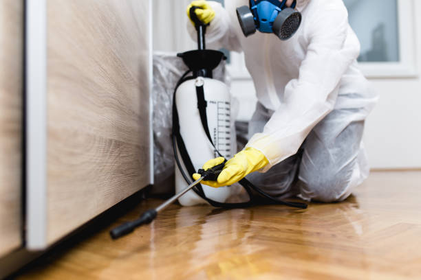 Best Commercial Pest Control Services  in Bonita, CA