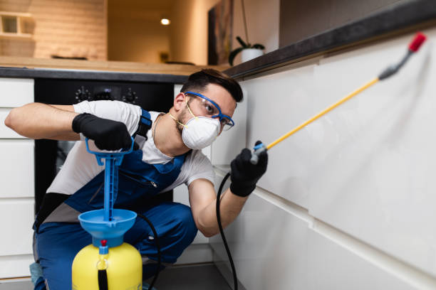 Best Local Pest Control Services  in Bonita, CA