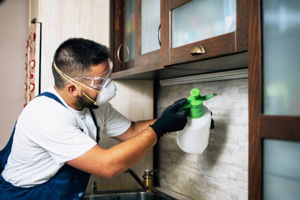 Best Pest Control Near Me  in Bonita, CA