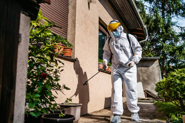 Best Wildlife Control Services  in Bonita, CA