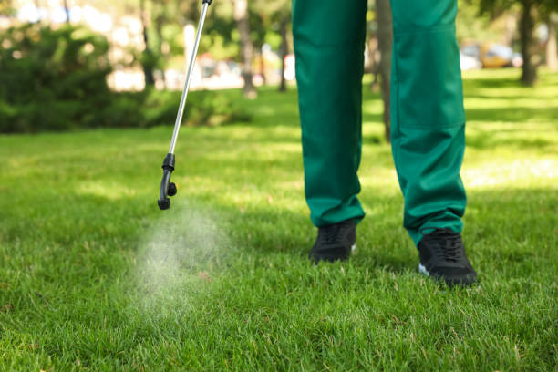 Best Pest Prevention Services  in Bonita, CA
