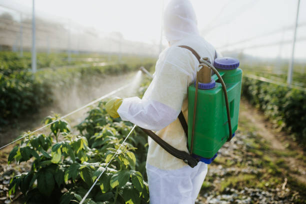 Best Best Pest Control Companies  in Bonita, CA